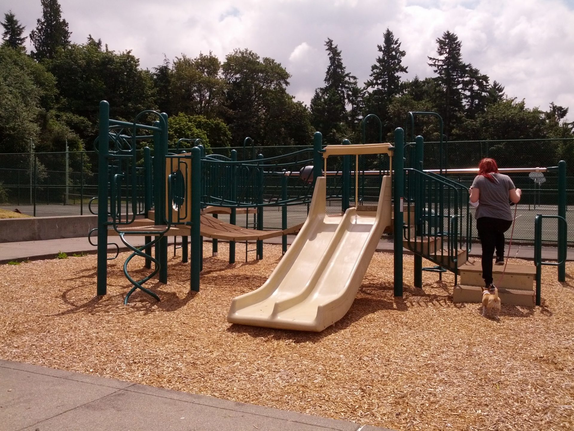 Things To Do in Kent: Climb, Slide and more at Garrison Creek Park
