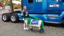 Wilson the Pony joins KDP for HAWKTOBERFEST on Sat., Sept. 24 in Historic Downtown Kent