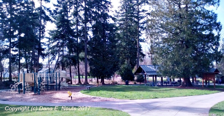 Morrill Meadows Park, Kent, Washington