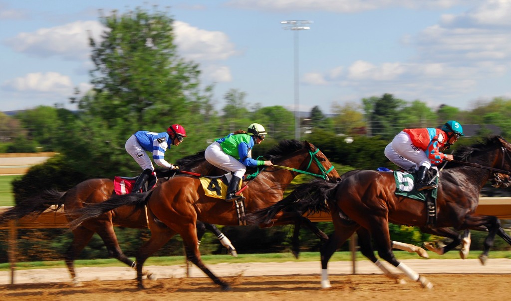 Things To Do in Kent: Indian Relay Racing at Emerald Downs