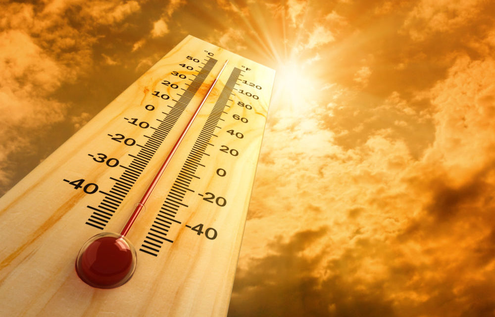 NWS Issues Excessive Heat Warning for Western Washington, Aug. 1-4