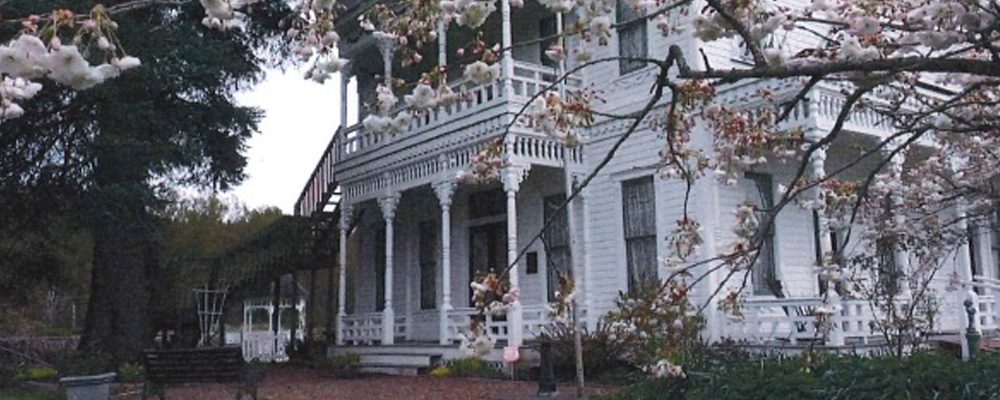 Victorian Holiday Tea will be Saturday, Dec. 7 at Neely Mansion