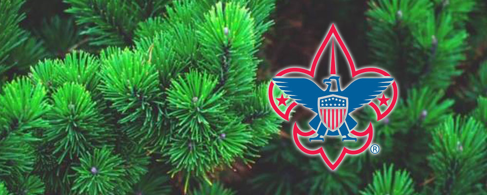 Local Boy Scouts will help you ‘Treecycle’ this Saturday