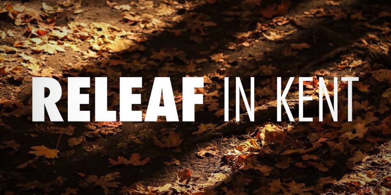 Kent Parks Conservation’s annual ReLEAF Event is this Saturday, Oct. 24