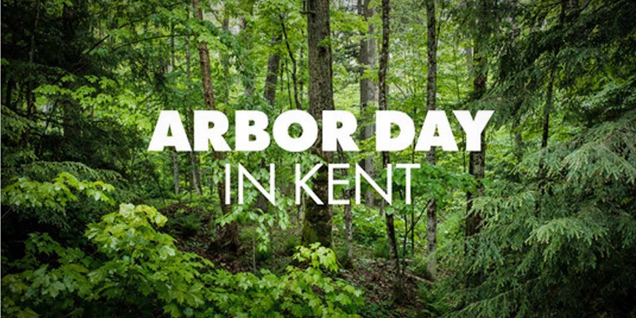 Arbor Day will be celebrated this Saturday, Nov. 14 at Clark Lake Park