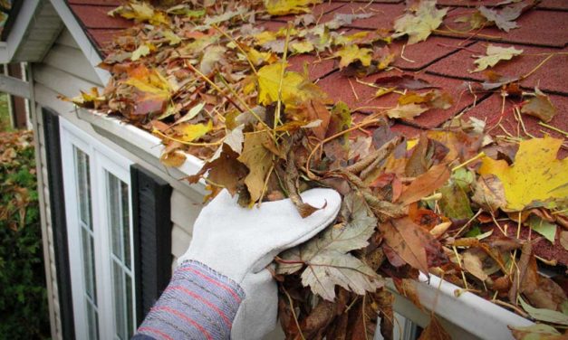 SPONSORED: Team Marti offers Fall Tune-Up Tips for your Home
