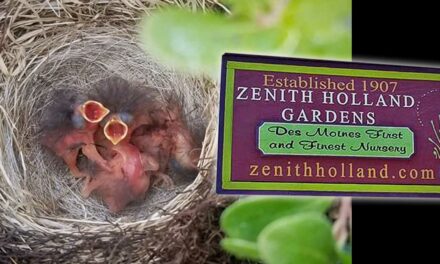 All kinds of Moms LOVE Zenith Holland Nursery, and lots of great new gift ideas are in!