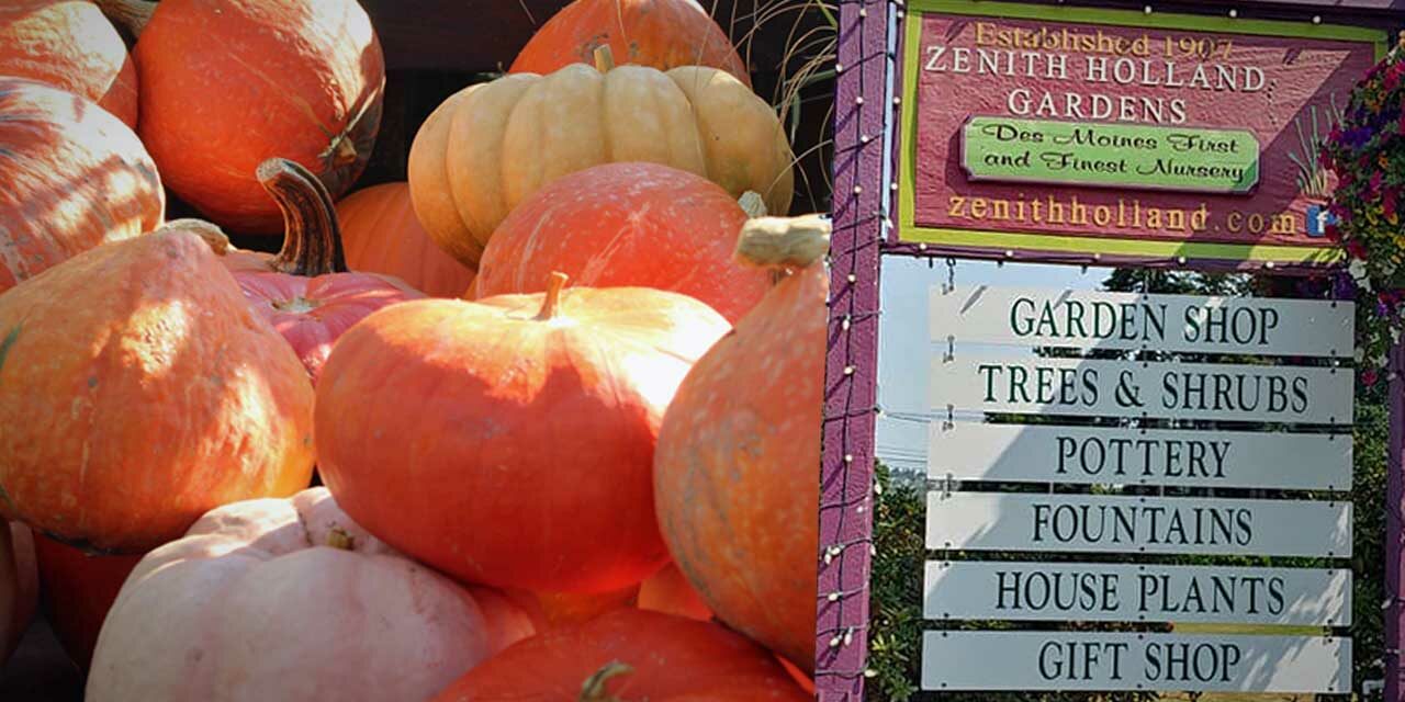 Harvest of Fall favorites & savings up to 25% off awaits at Zenith Holland Gardens